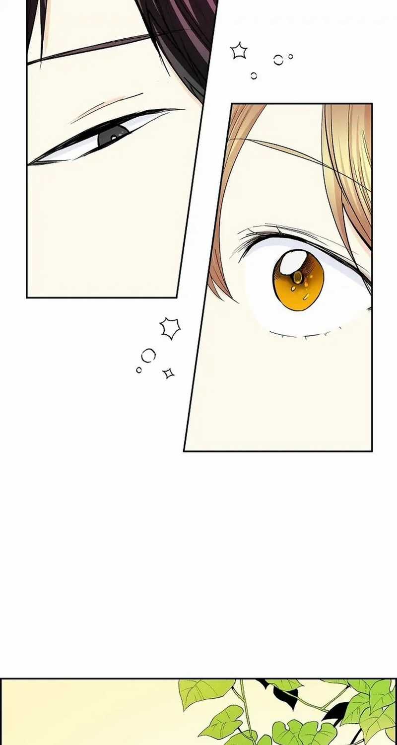 For stella - Vì Stella - Chapter 38 - Trang 27