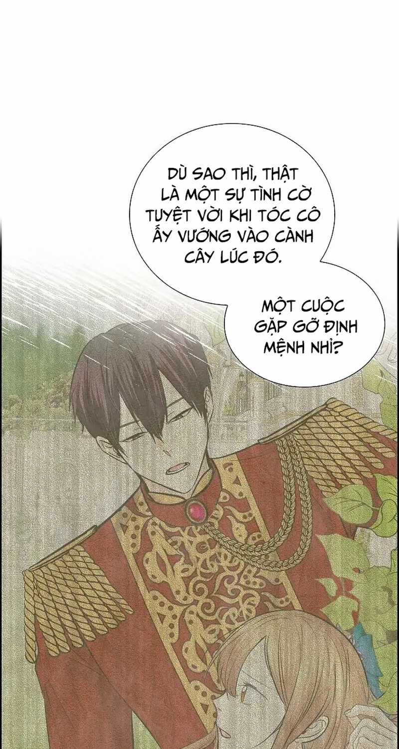 For stella - Vì Stella - Chapter 39 - Trang 1