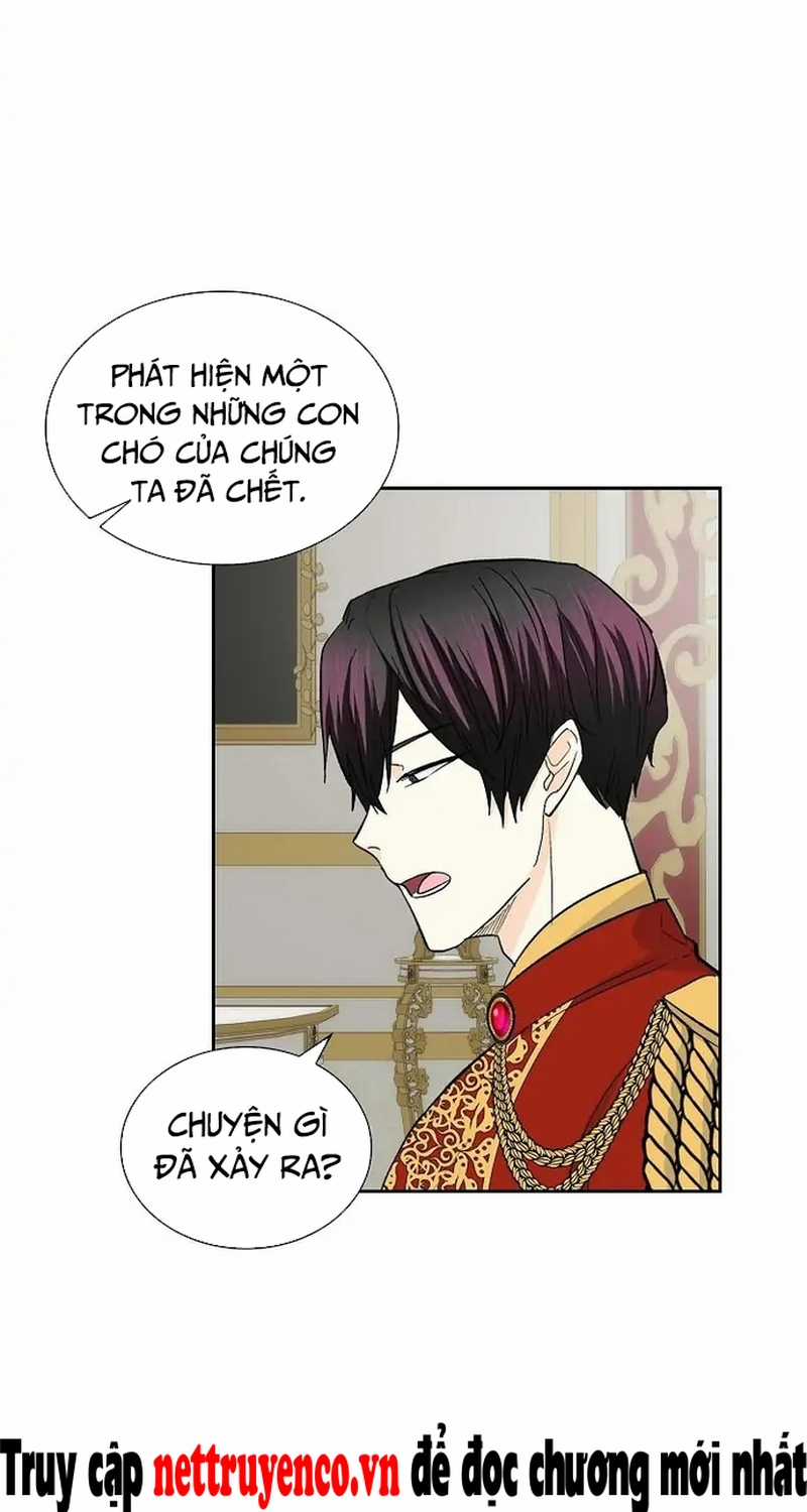 For stella - Vì Stella - Chapter 39 - Trang 6