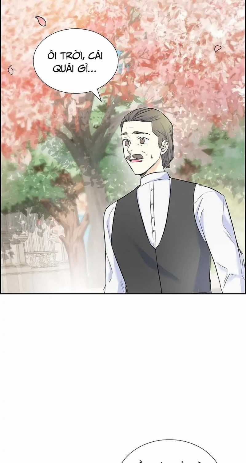 For stella - Vì Stella - Chapter 40 - Trang 32