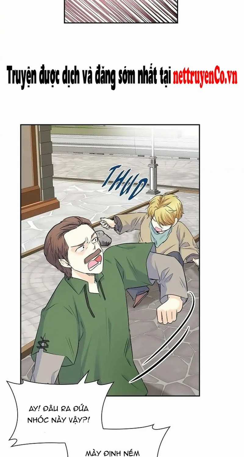 For stella - Vì Stella - Chapter 42 - Trang 11