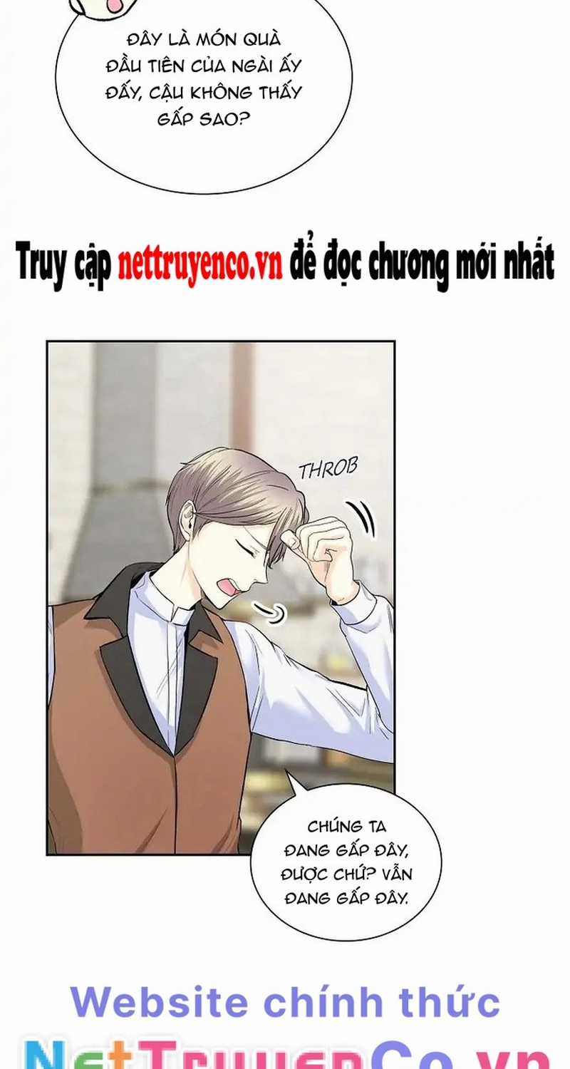 For stella - Vì Stella - Chapter 42 - Trang 42