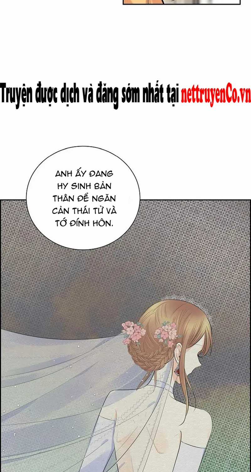 For stella - Vì Stella - Chapter 44 - Trang 11