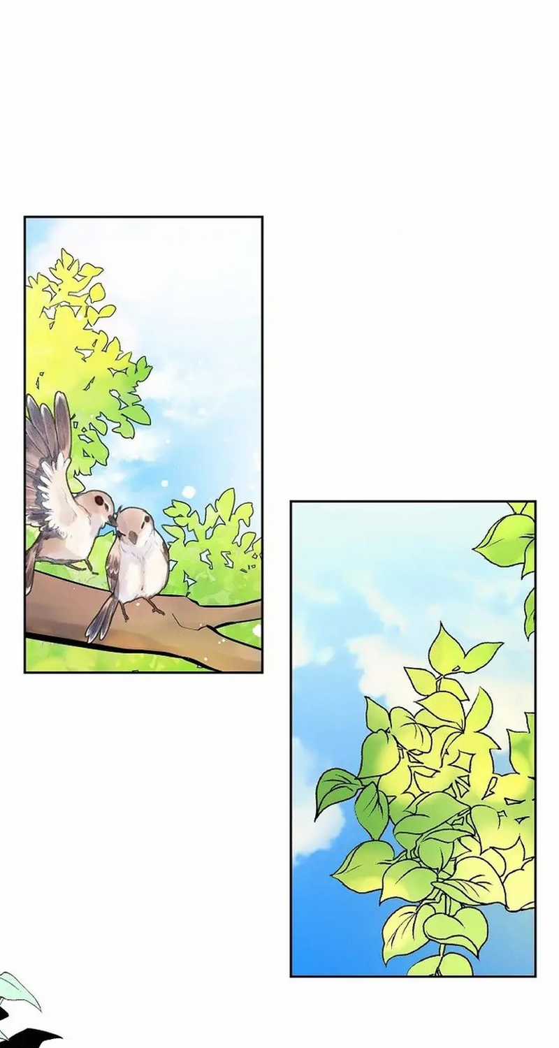 For stella - Vì Stella - Chapter 45 - Trang 39