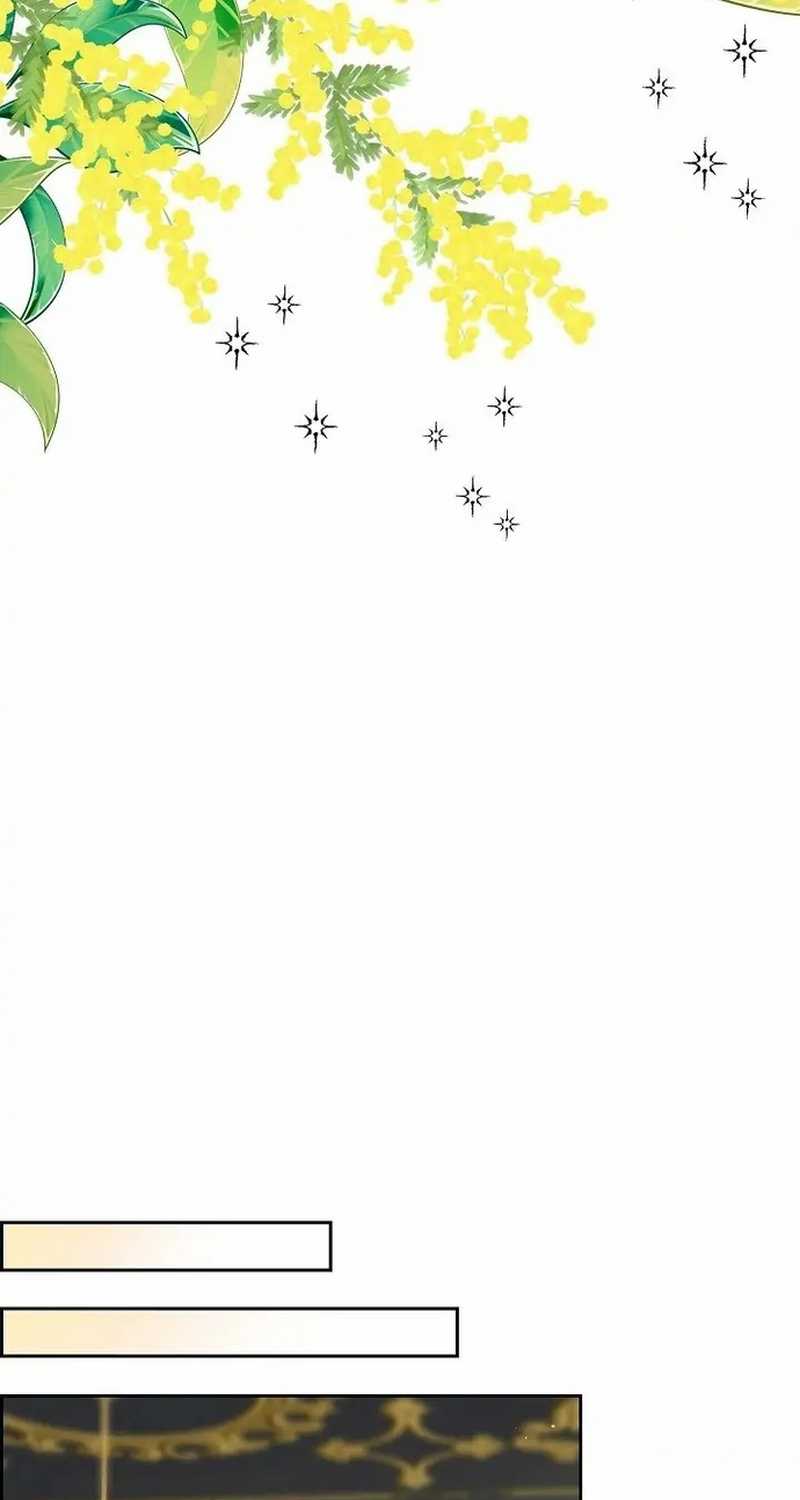 For stella - Vì Stella - Chapter 46 - Trang 35