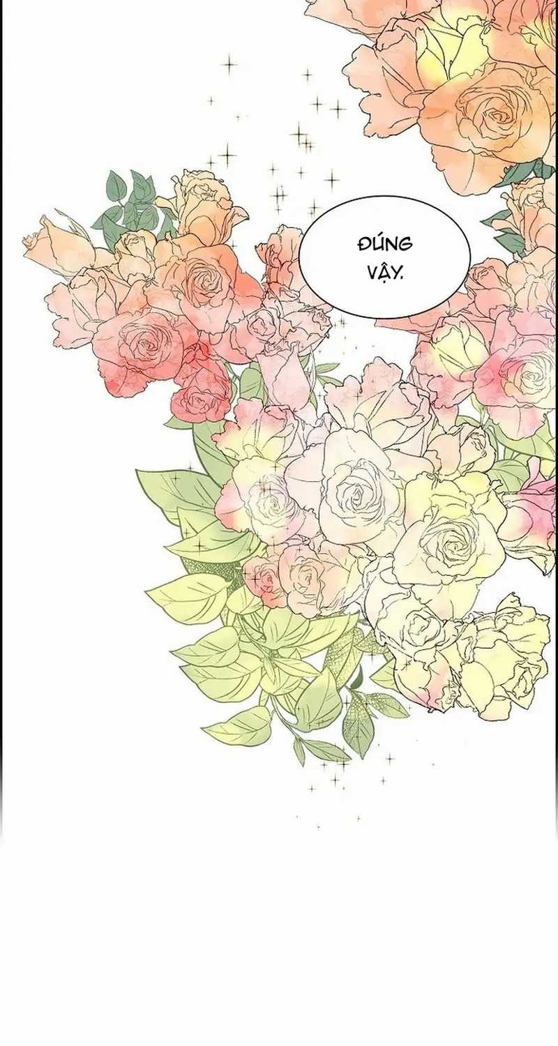 For stella - Vì Stella - Chapter 48 - Trang 13