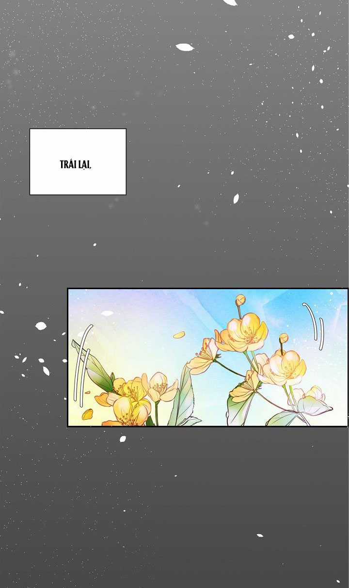 For stella - Vì Stella - Chapter 5 - Trang 5