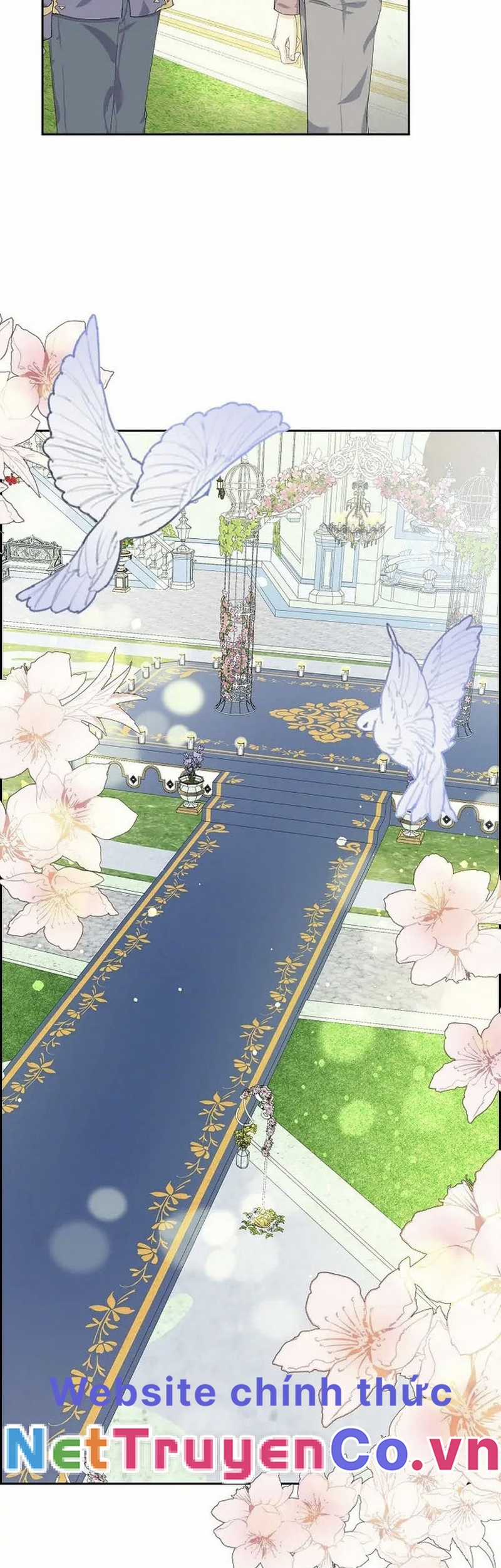 For stella - Vì Stella - Chapter 51 - Trang 27