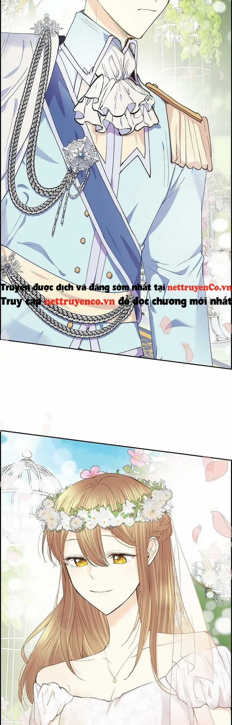 For stella - Vì Stella - Chapter 51 - Trang 35