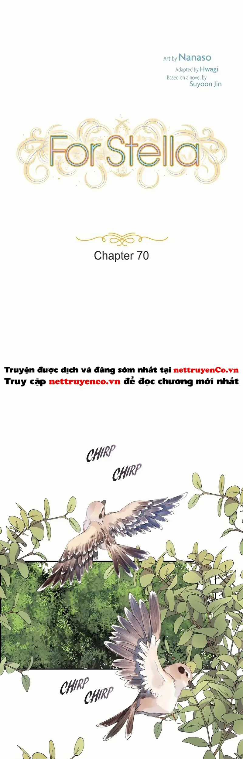 For stella - Vì Stella - Chapter 70 - Trang 11