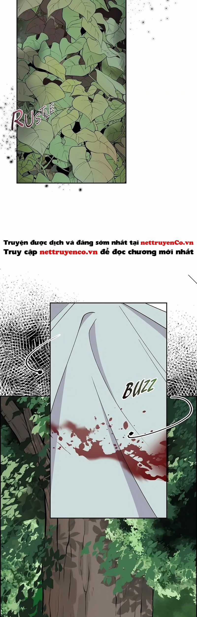 For stella - Vì Stella - Chapter 70 - Trang 35