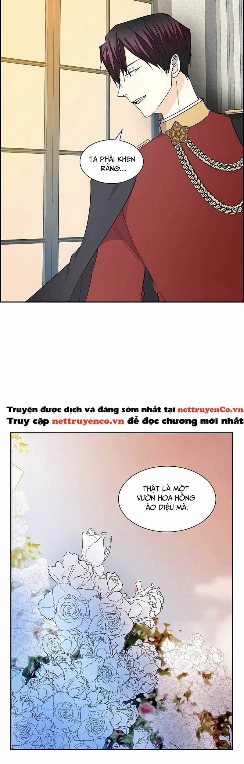 For stella - Vì Stella - Chapter 71 - Trang 12