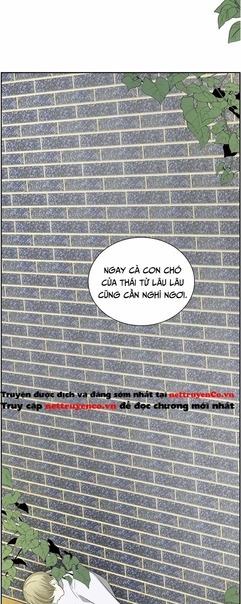 For stella - Vì Stella - Chapter 80 - Trang 15