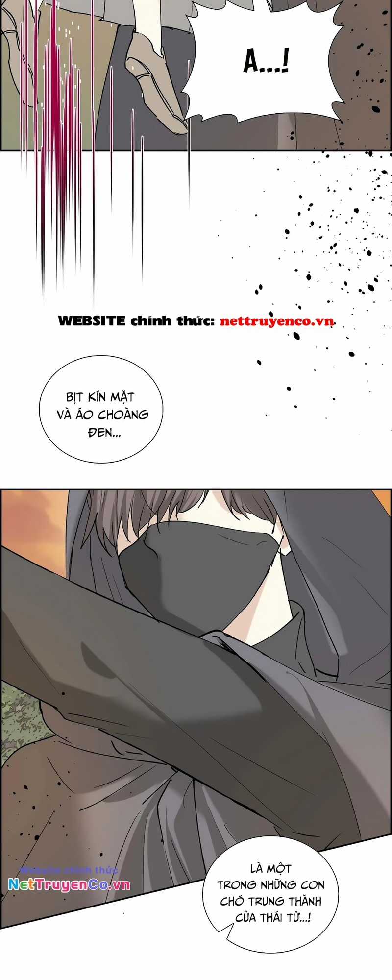 For stella - Vì Stella - Chapter 90 - Trang 12