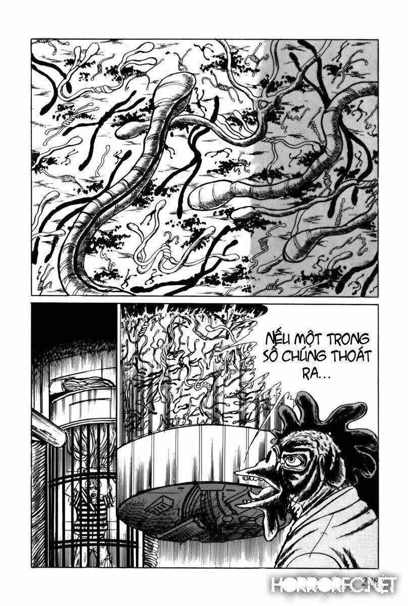 Fourteen - Chapter 34 - Trang 3