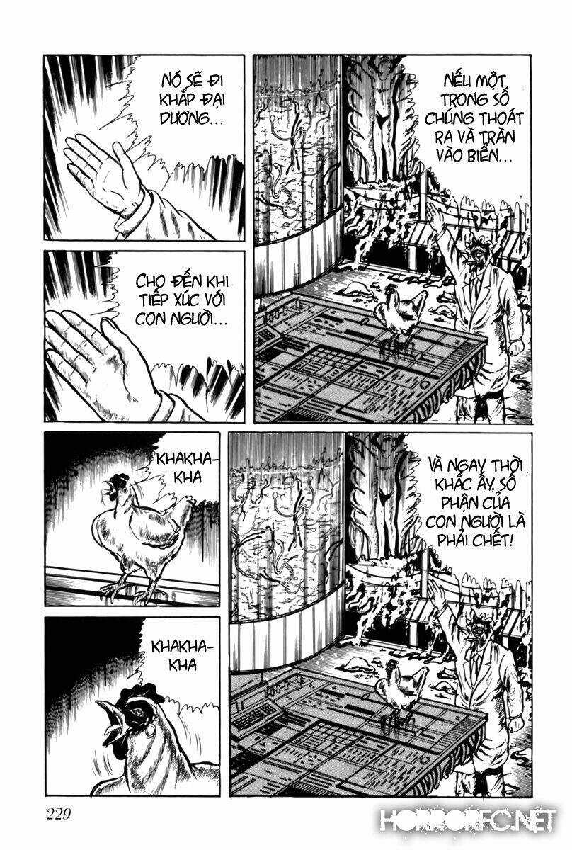 Fourteen - Chapter 34 - Trang 4