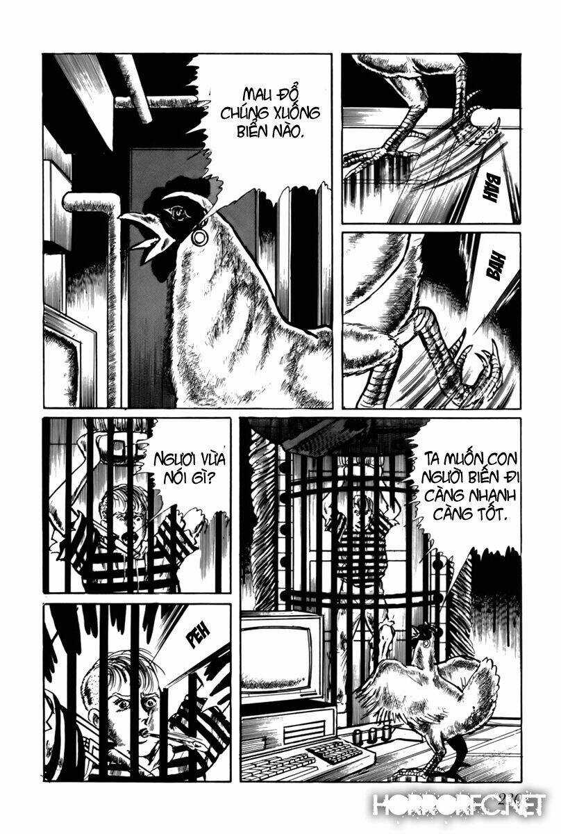 Fourteen - Chapter 34 - Trang 5