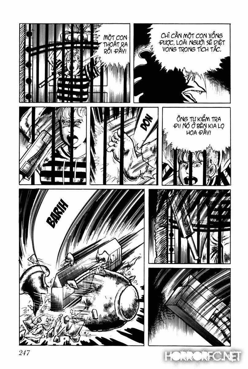 Fourteen - Chapter 35 - Trang 6