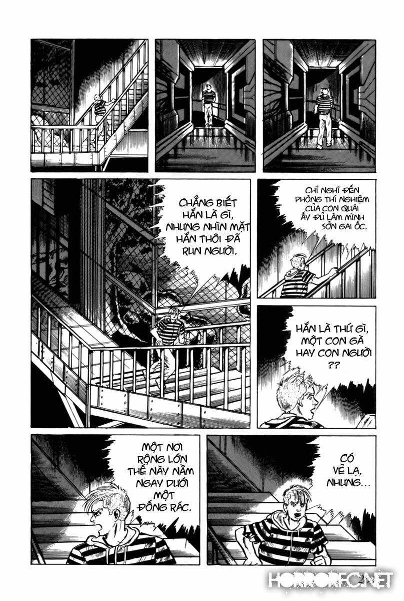 Fourteen - Chapter 37 - Trang 11