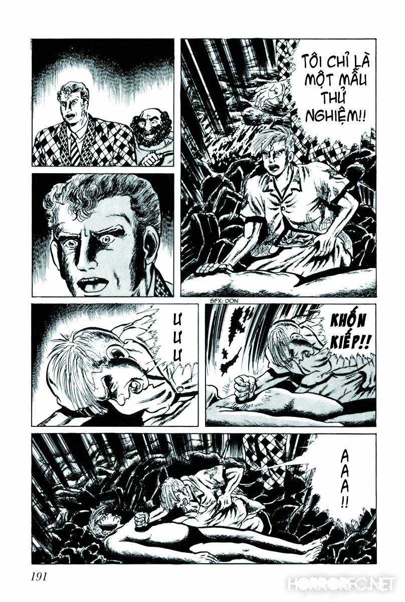 Fourteen - Chapter 51 - Trang 14