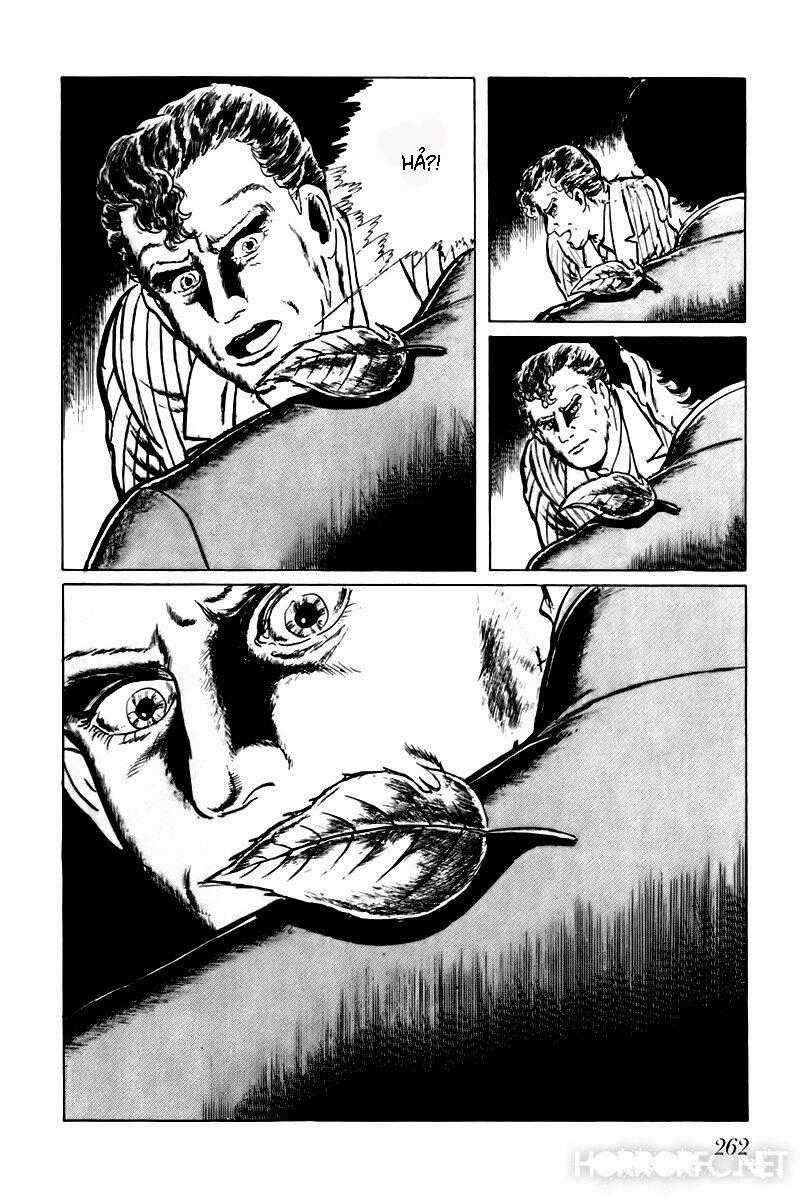 Fourteen - Chapter 55 - Trang 17