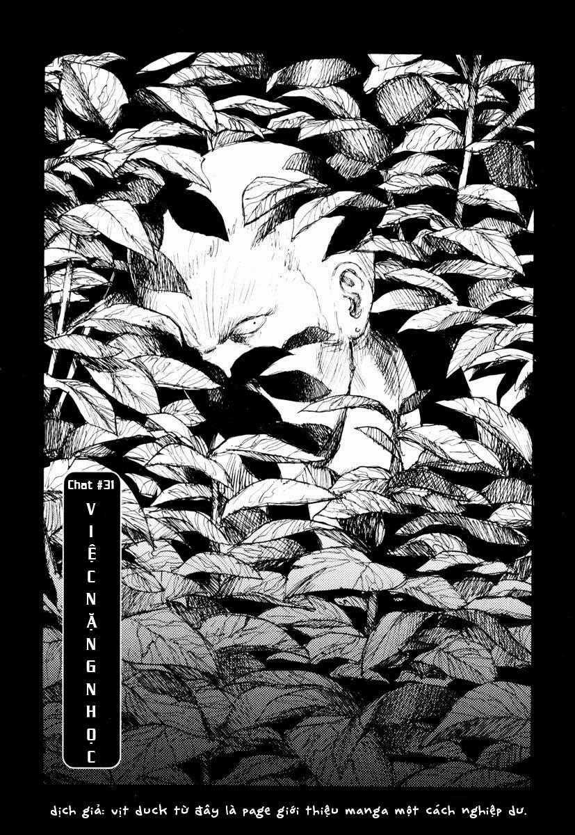 Freesia - Chapter 31 - Trang 1