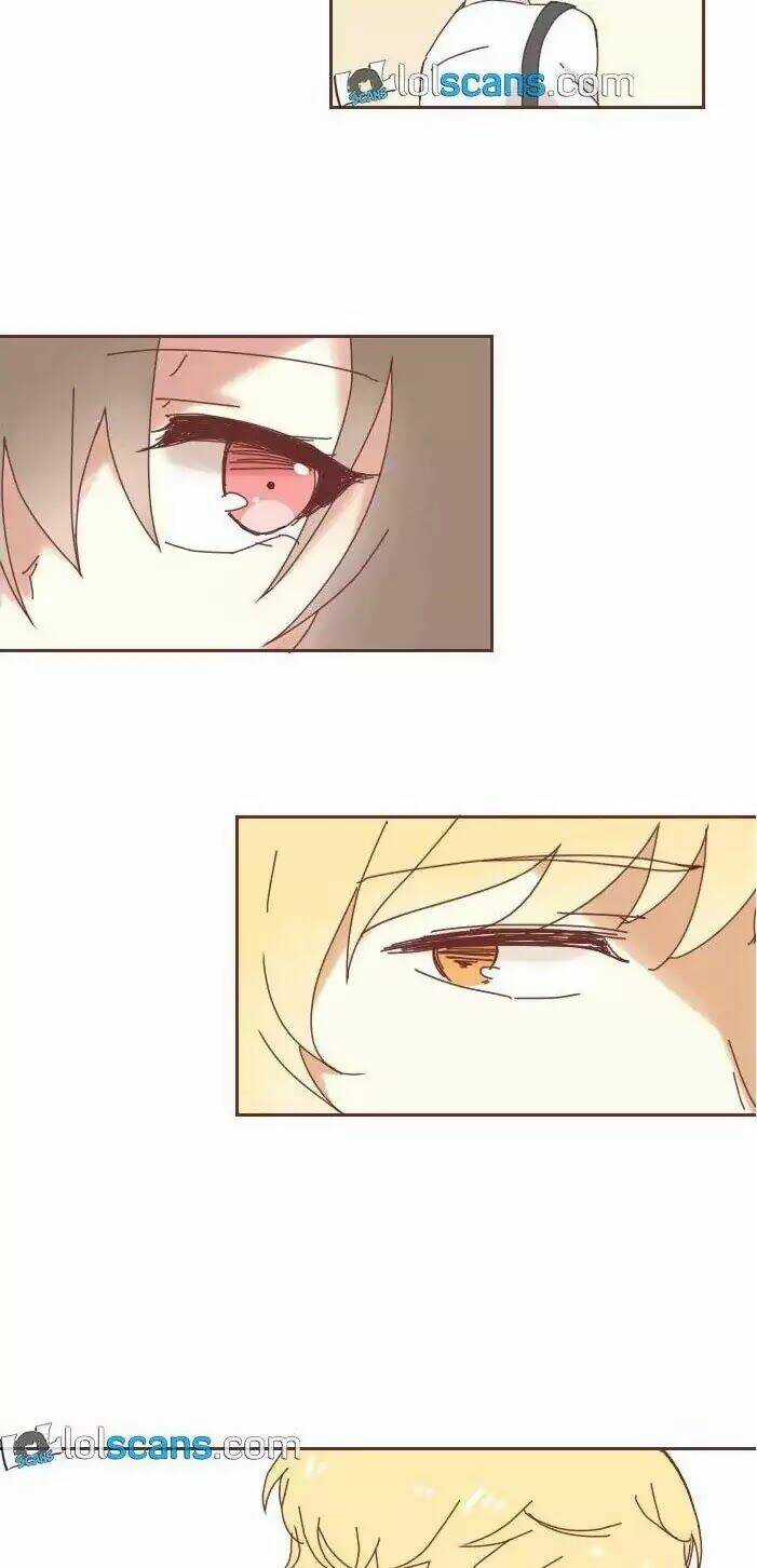 From Nightmare To Love - Chapter 1 - Trang 15