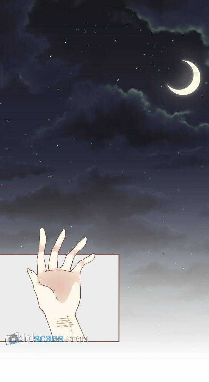 From Nightmare To Love - Chapter 4 - Trang 2