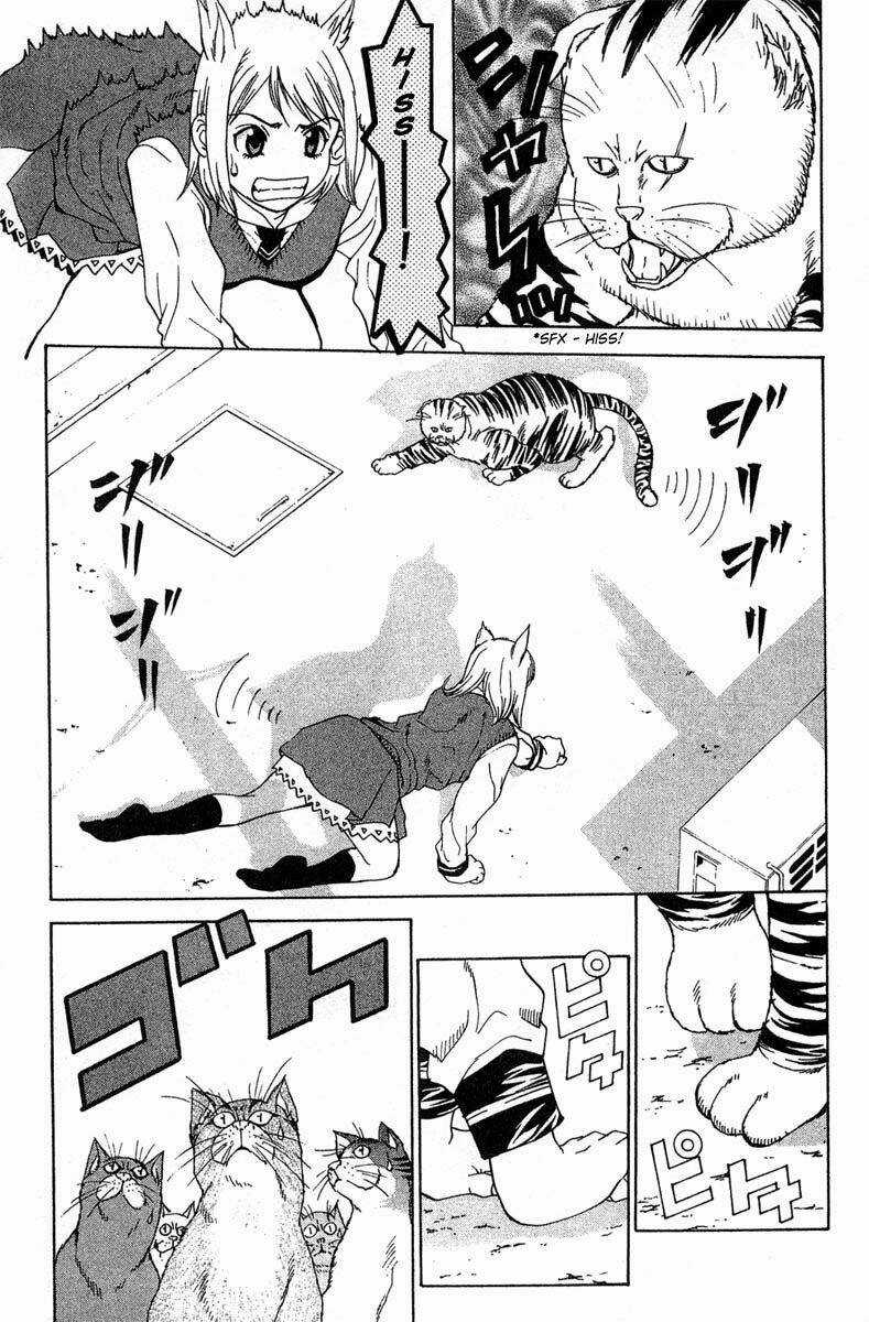 Gacha Gacha 1 - Chapter 15 - Trang 16