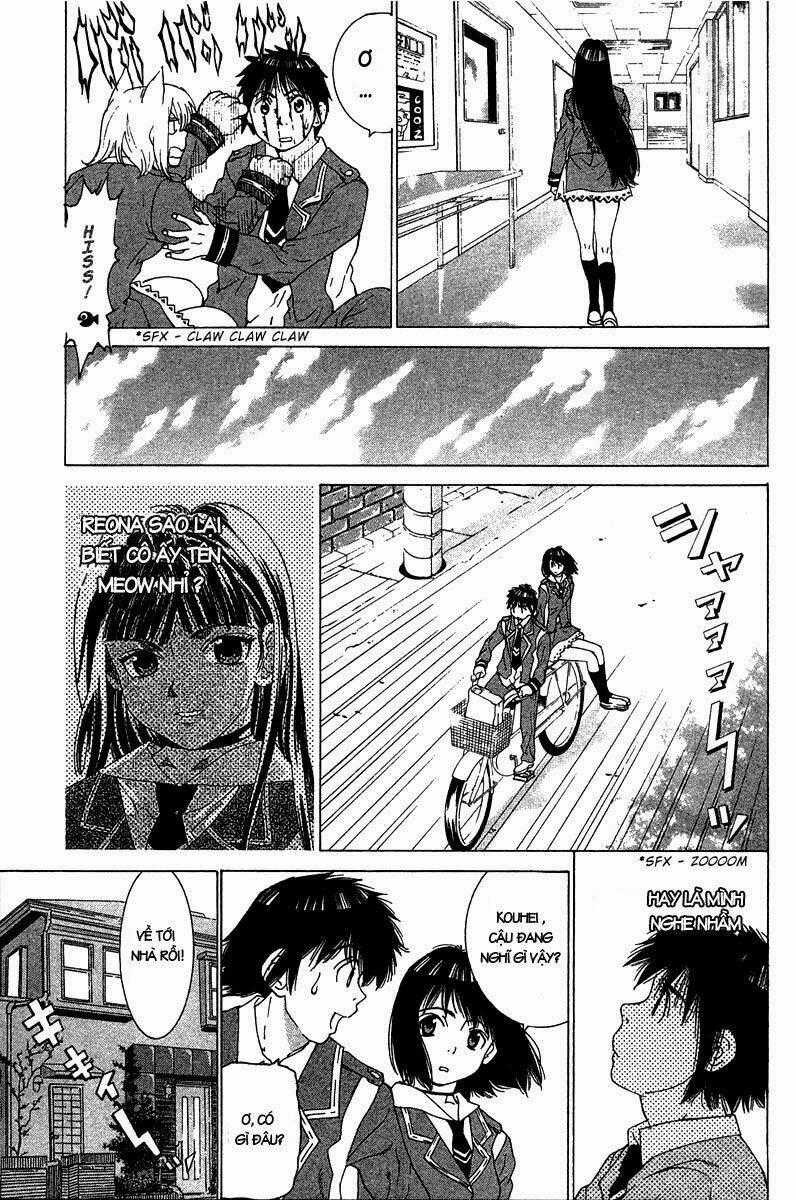 Gacha Gacha 1 - Chapter 17 - Trang 2