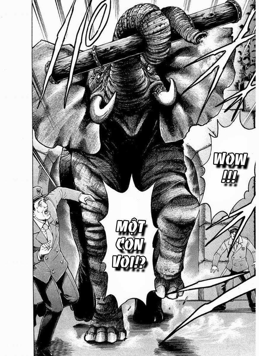 Gamble Fish - Chapter 105 - Trang 11