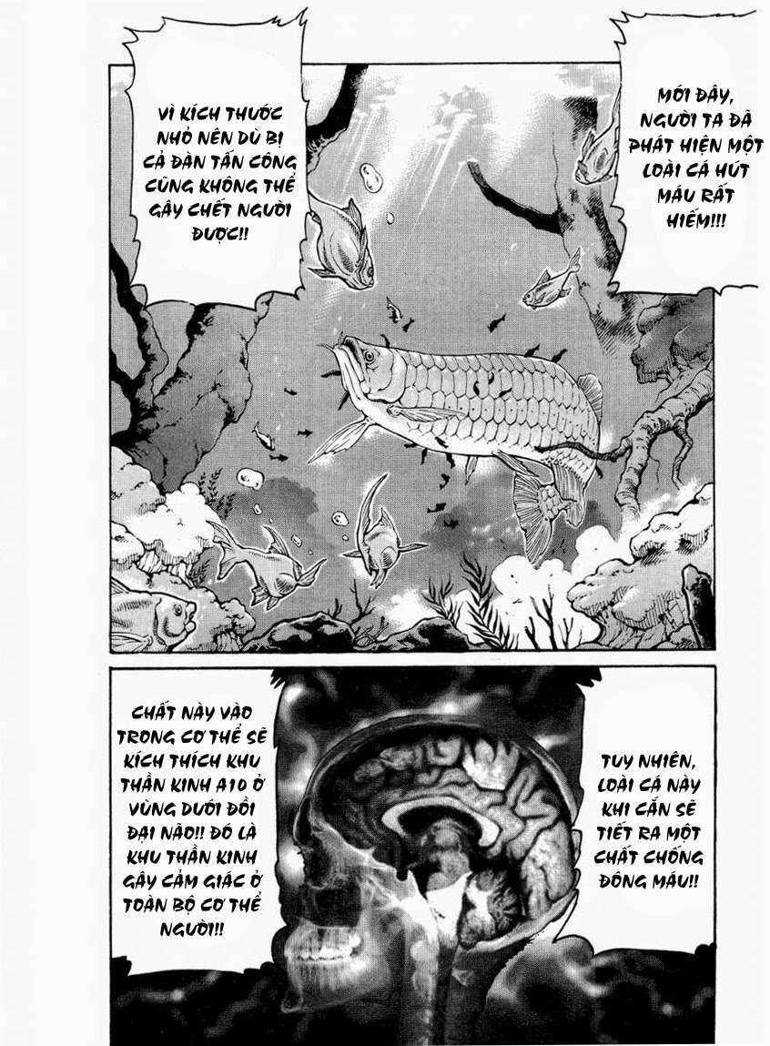 Gamble Fish - Chapter 114 - Trang 19