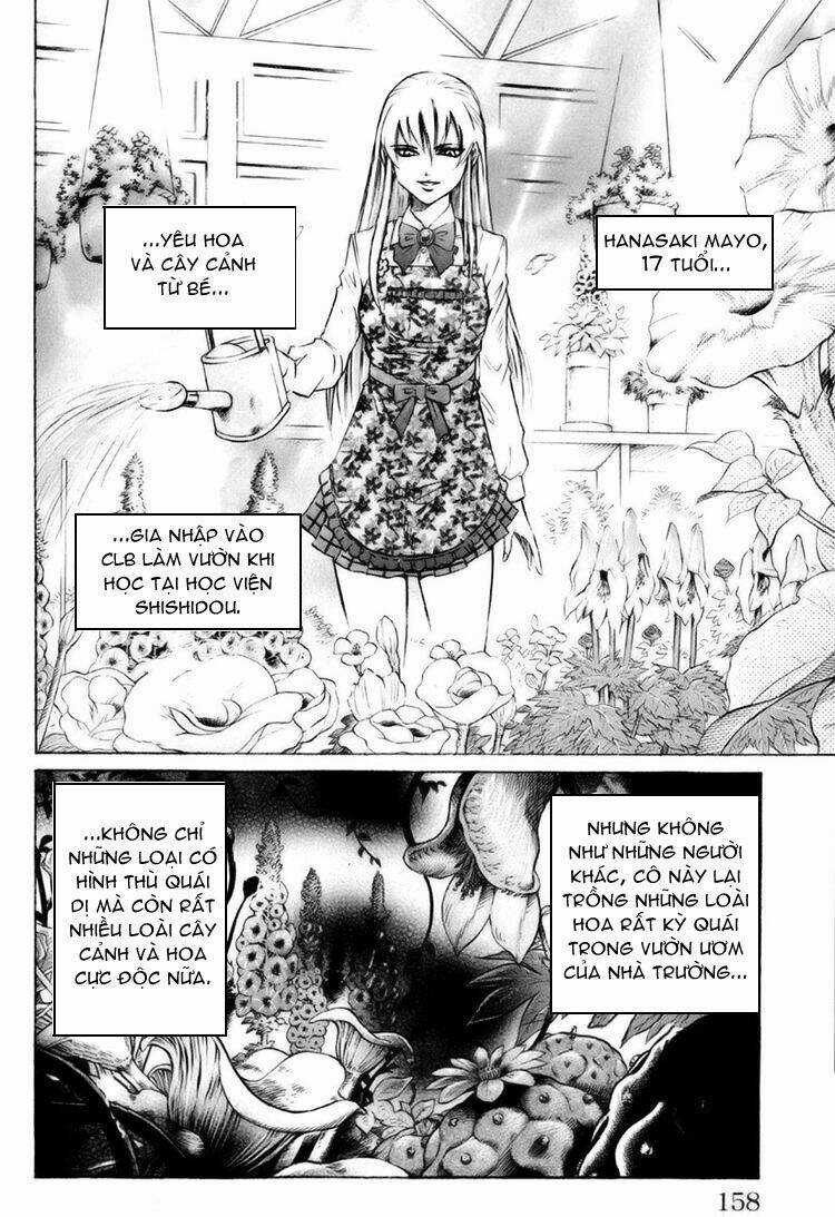 Gamble Fish - Chapter 41 - Trang 7