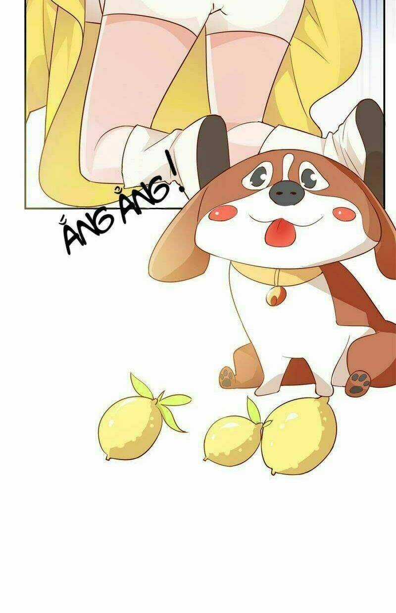 Gặp Gỡ Định Mệnh - Chapter 1 - Trang 26