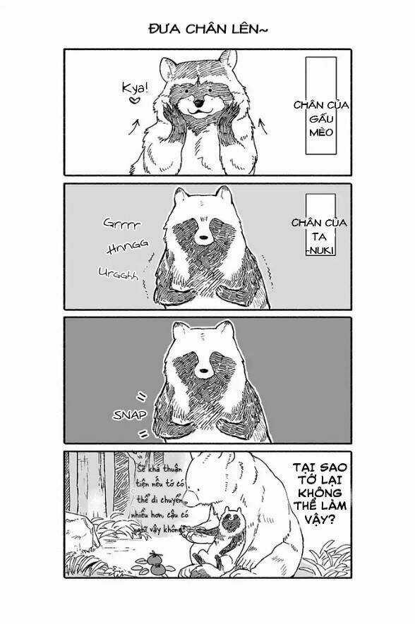 Gấu Và Tanuki - Chapter 1 - Trang 4