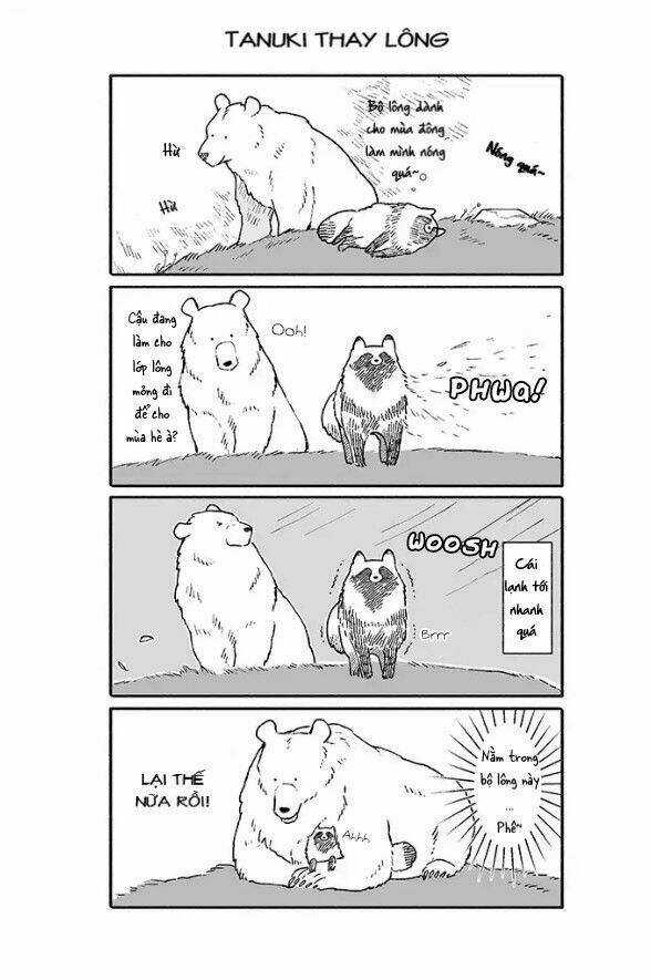 Gấu Và Tanuki - Chapter 1 - Trang 5