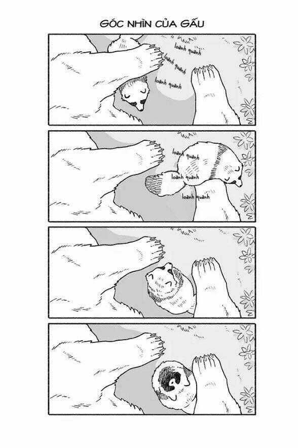 Gấu Và Tanuki - Chapter 2 - Trang 1