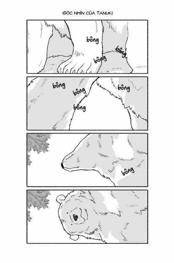 Gấu Và Tanuki - Chapter 2 - Trang 2