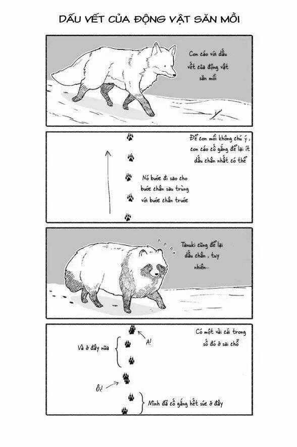 Gấu Và Tanuki - Chapter 3 - Trang 1