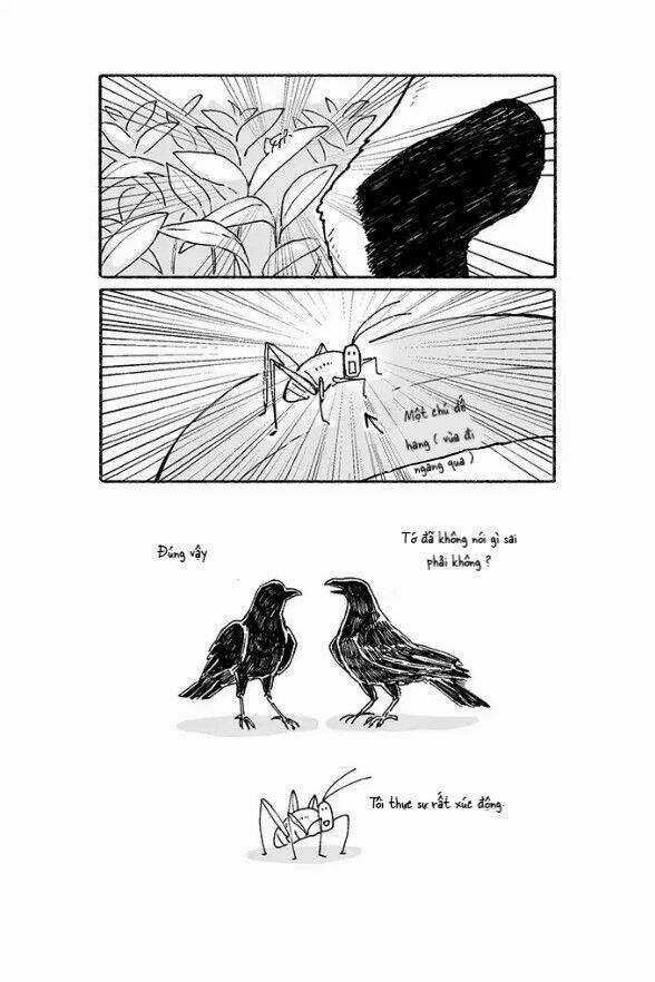 Gấu Và Tanuki - Chapter 3 - Trang 4