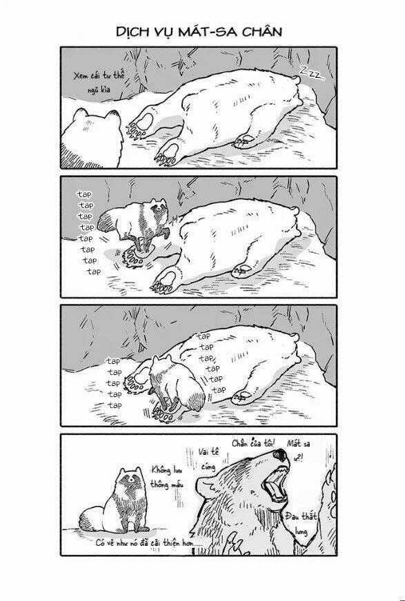 Gấu Và Tanuki - Chapter 6 - Trang 2