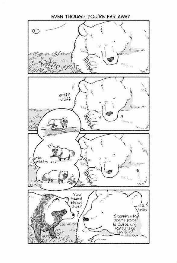 Gấu Và Tanuki - Chapter 7 - Trang 1