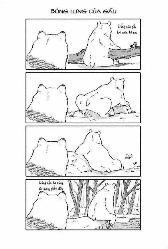 Gấu Và Tanuki - Chapter 8 - Trang 1