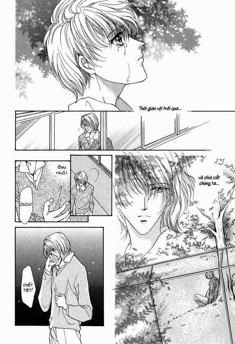 Gerbera - Chapter 5 - Trang 11