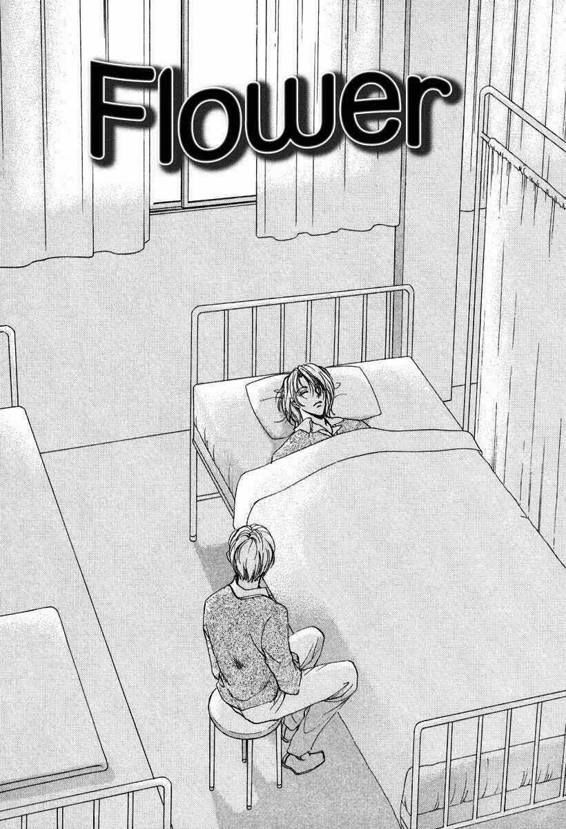 Gerbera - Chapter 6 - Trang 5