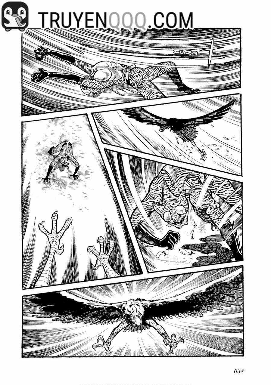 Giả Diện Kỵ Sĩ Amazon - Chapter 2 - Trang 13