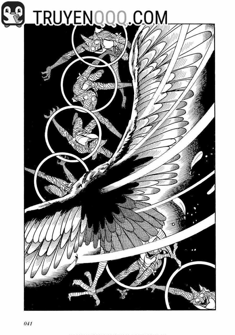 Giả Diện Kỵ Sĩ Amazon - Chapter 2 - Trang 16