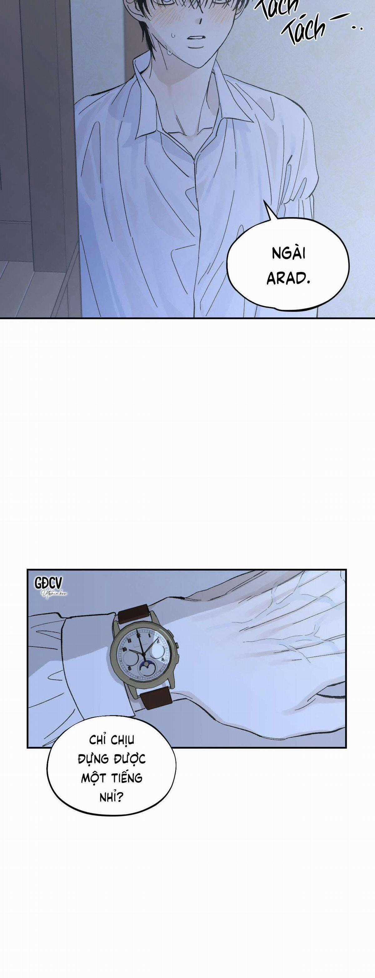 Gia Nhân - Chapter 11 - Trang 16