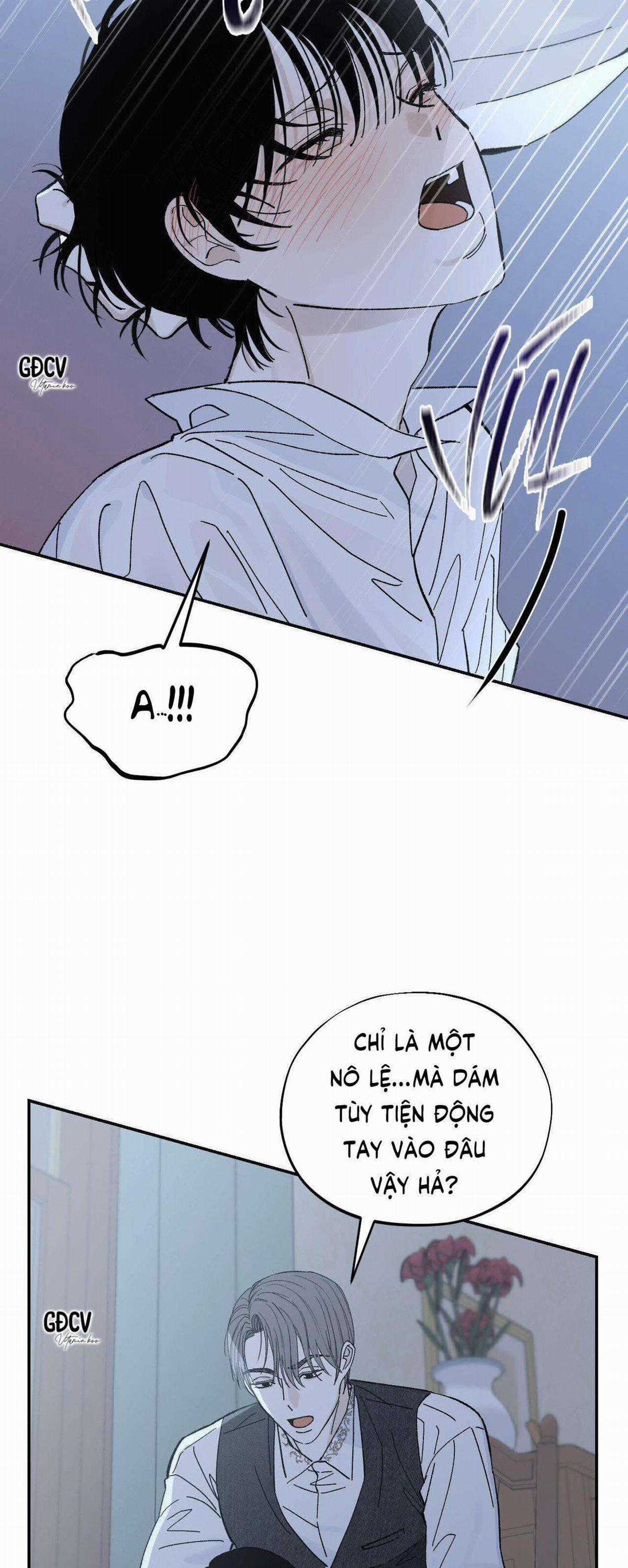 Gia Nhân - Chapter 11 - Trang 28