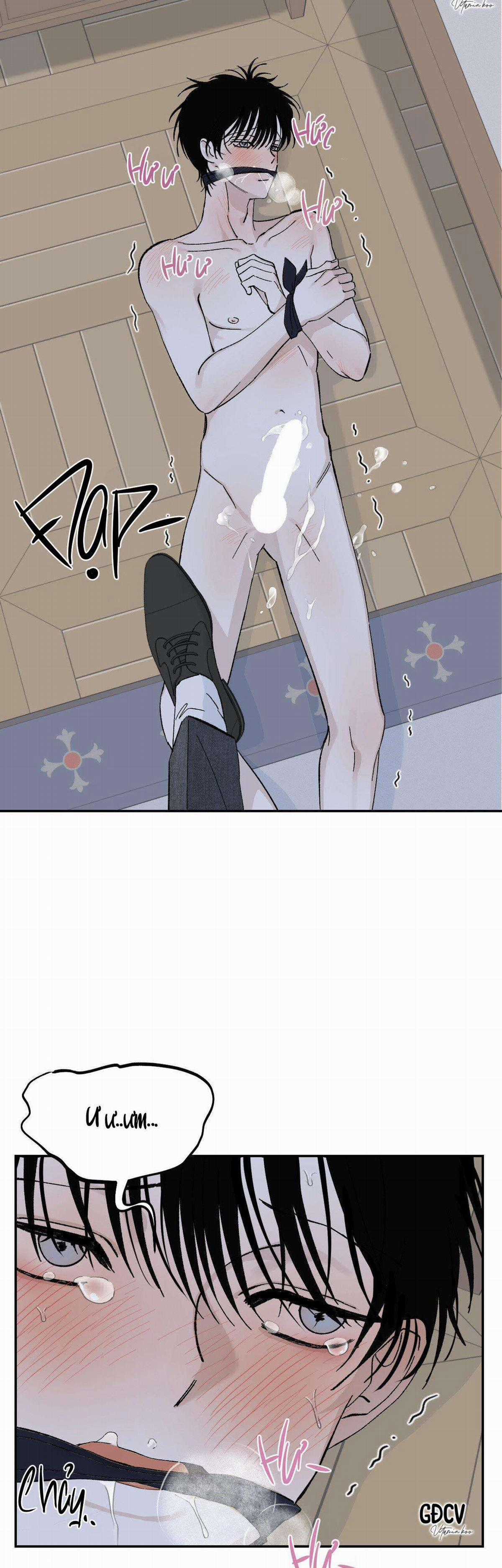 Gia Nhân - Chapter 12 - Trang 15